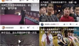 挑战全网吃瓜爆料视频下载,挑战吃瓜爆料视频下载，揭秘幕后真相！